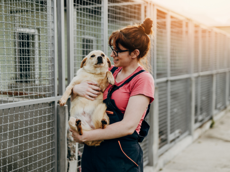 A woman holding a dog at an animal shelter nonprofit organization