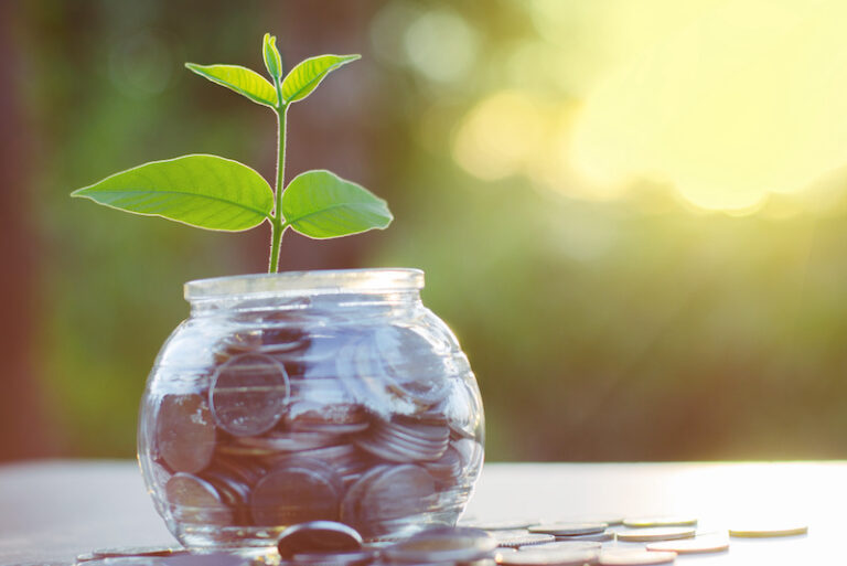 a photo of a donation inside of a glass jar with a planting growing from it